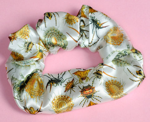 Ernst Haeckel Insects Arachnida Satin Scrunchie