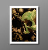 Orcus Skull and Bones Mounted Photo Print Photography Print.