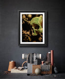 Orcus Skull and Bones Mounted Photo Print Photography Print.