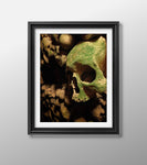 Orcus Skull and Bones Mounted Photo Print Photography Print.