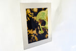 Orcus Skull and Bones Mounted Photo Print Photography Print.