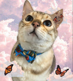 * 4 styles* Cat Kitten Breakaway Bow Tie Collars with bell